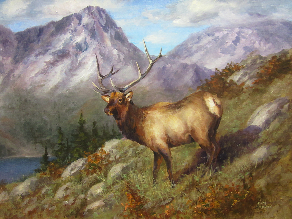 C401- King of the Hill